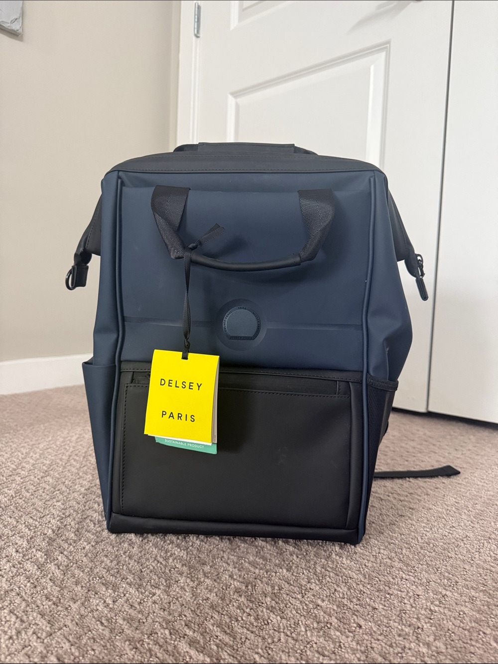 DELSEY Paris Navy and Black Casual Backpack